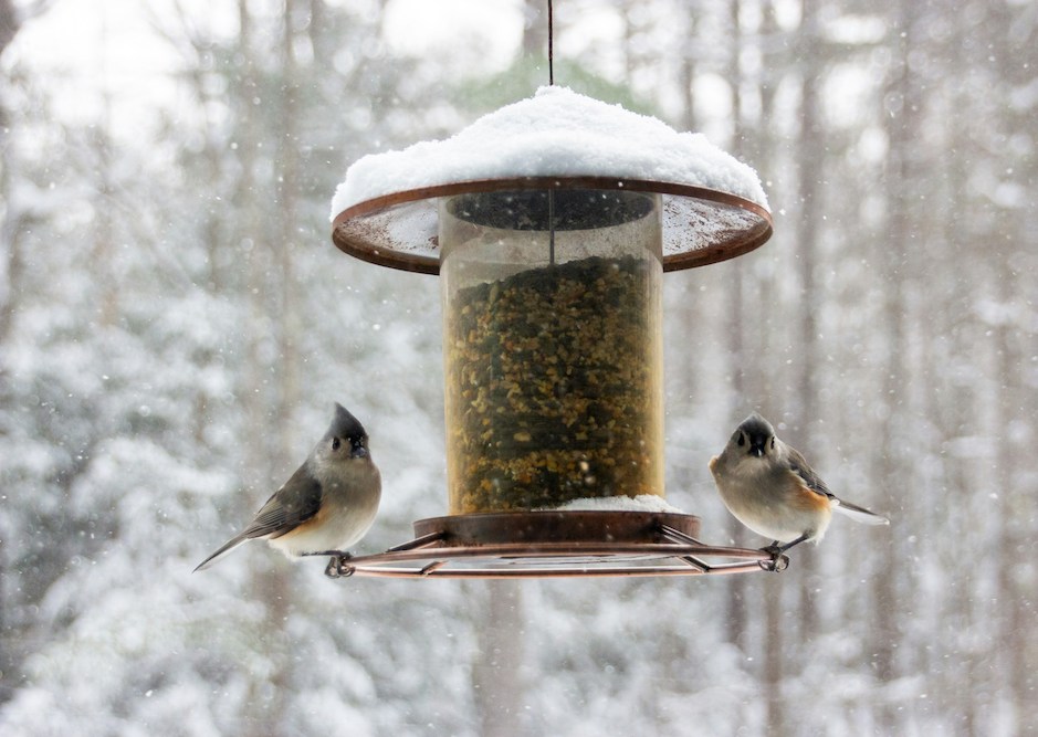 News and Events at East Keswick Methodist Church - Wintery [ic with birds feeding